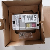 DUNGS冬斯燃气检漏装置VPS504 S04