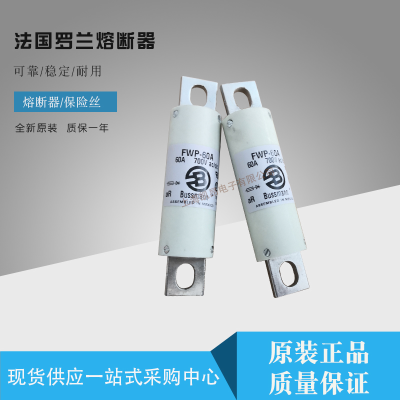 FR14GR69V12T J1017183法国罗兰 全新快速熔断器/保险丝 原装现货