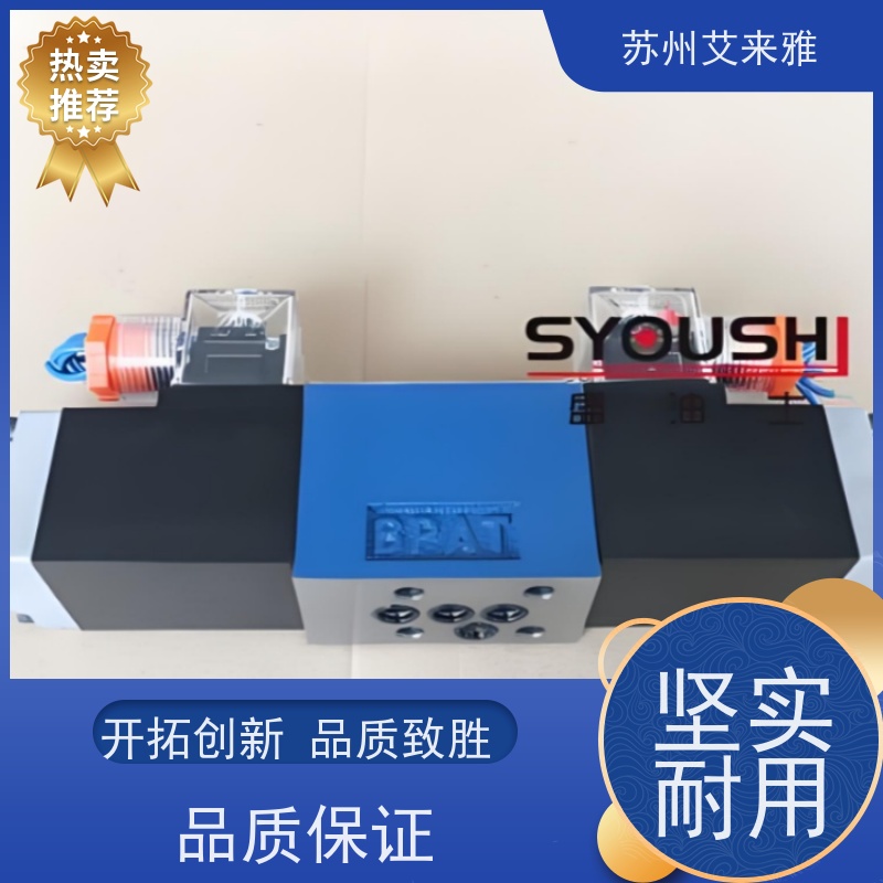 SYOUSHI电磁换向阀4WE10D30/EW220RNZ5L 4WE10D3X/CG24N9K4现货方向阀