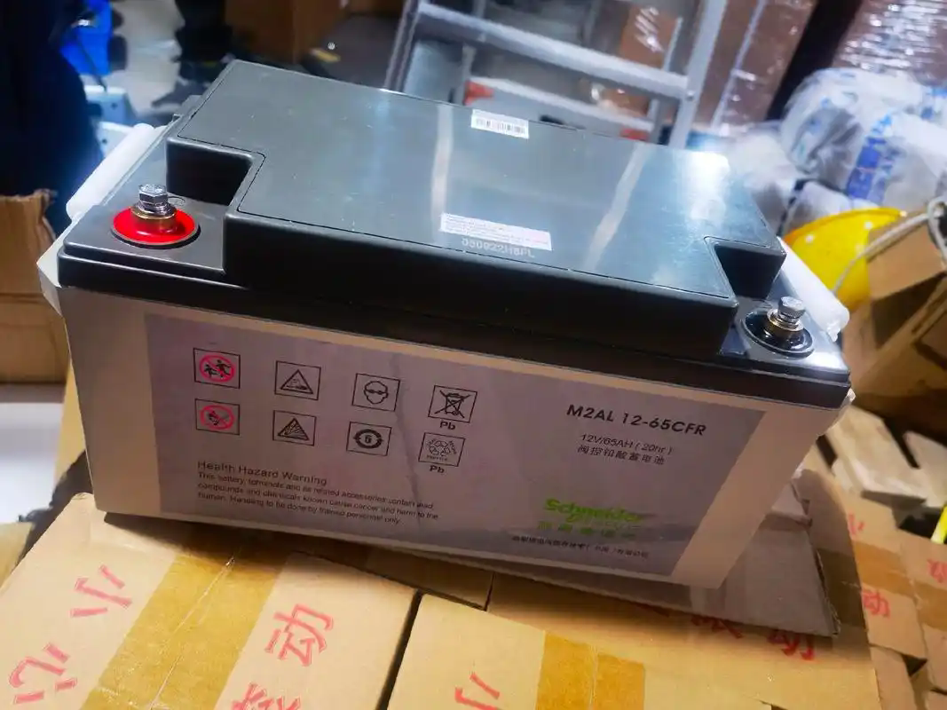 施耐德蓄电池M2AL12-65技术参数