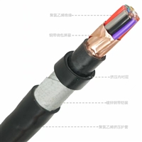 塑料绝缘控制电缆KVVP22-300/500-3*2.5