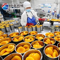 沙果罐头生产线 山楂罐头加工设备 什锦水果罐头生产设备