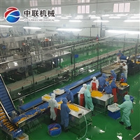 山楂罐头生产线 什锦水果罐头加工设备 炖梨罐头生产设备