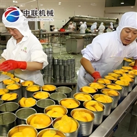 李子罐头生产线 荔枝罐头加工设备 葡萄罐头生产设备