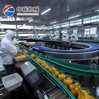 什锦水果罐头生产线 炖梨罐头加工设备 雪梨罐头生产设备
