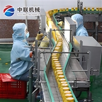 黄桃罐头生产线 白桃罐头加工设备 椰果罐头生产设备