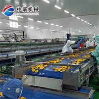 水果罐头生产线 黄桃罐头加工设备 白桃罐头生产设备