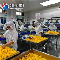 全自动水果罐头生产设备 成套黄桃罐头加工流水线设备