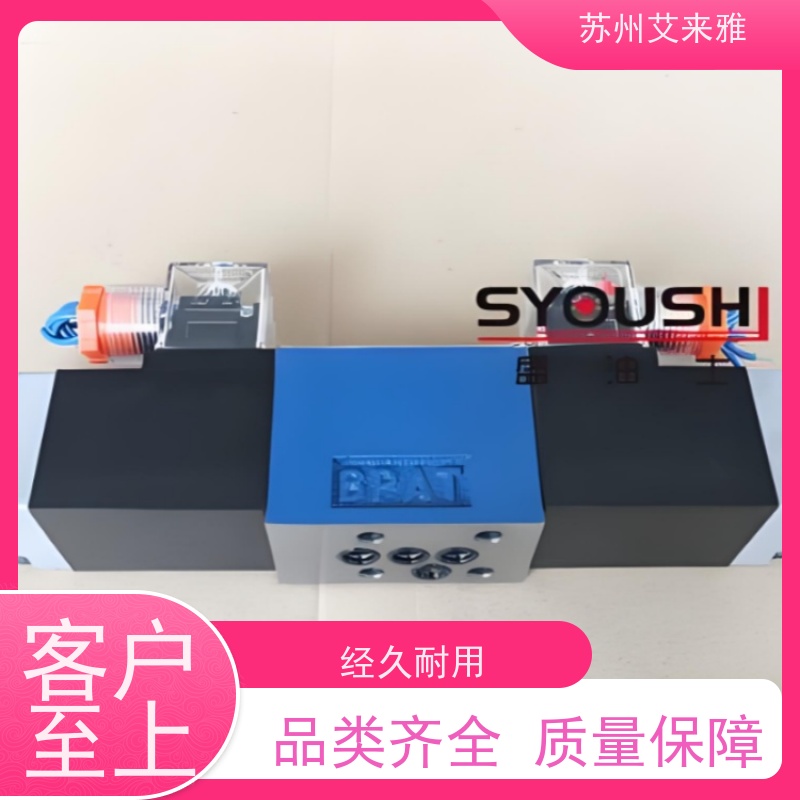 SYOUSHI液压单向阀RVP6-10B库存现货保压阀单向截止阀