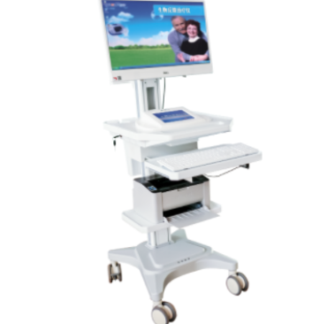 神经肌肉低频电刺激仪YD-NES300