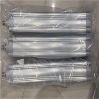 FESTO气缸主要技术参数DSBC-80-25-PPVA-N3