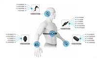 ErgoLAB组合式可穿戴生理记录系统