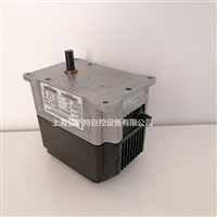 LAMTEC兰姆泰克伺服马达662R5003