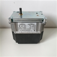 德国蓝姆泰克LAMTEC低氮燃烧器662R5009-0执行器