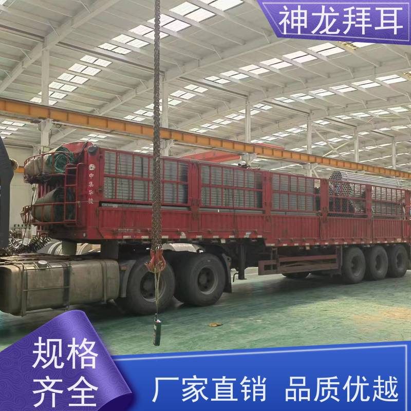 河北神龙拜耳 光伏支架打孔机 模块化 厂家