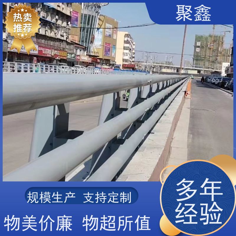 聚鑫 海南防撞护栏 公园河边散步防护栏 坚固耐用不变形