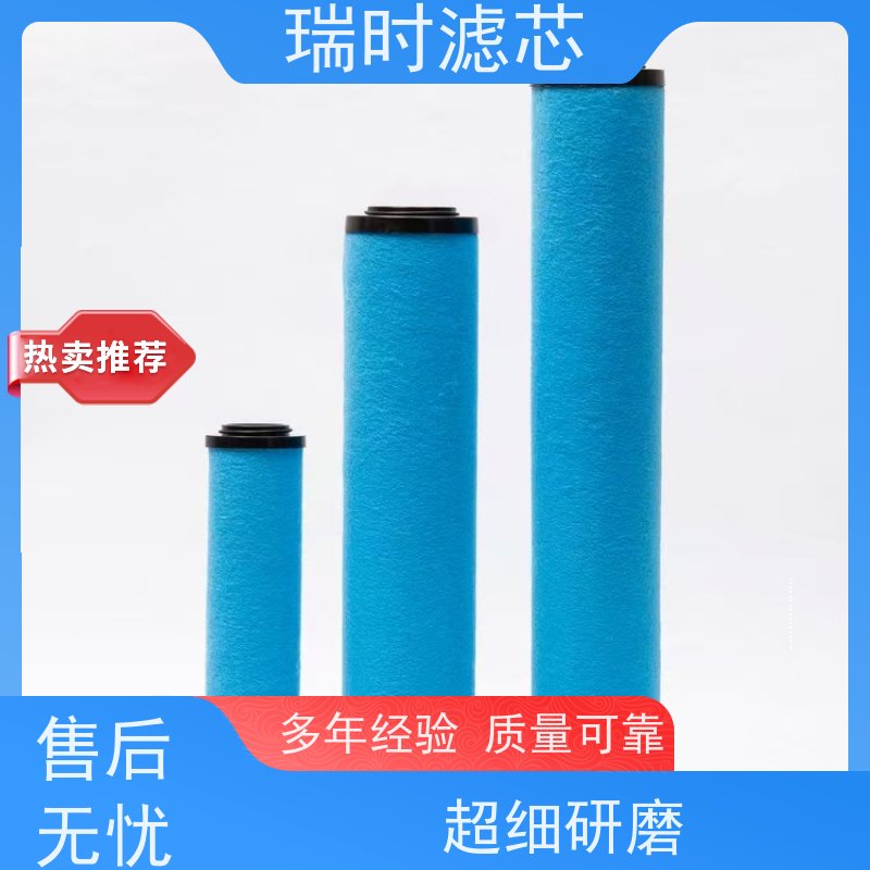 净化专家 精密滤芯·瑞时椰壳活性炭滤芯冰箱除味 食品接触级安全
