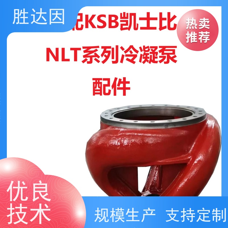 凯士比KSB金华市NLT300-400X6O型圈 多个型号满足您所需-24小时服务