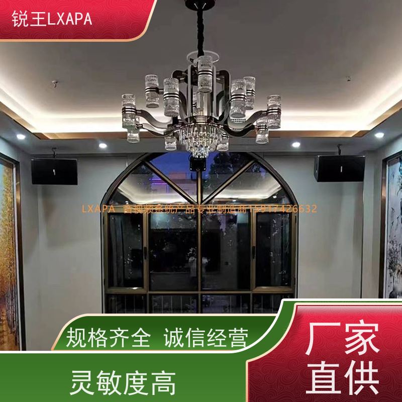 锐王LXAPA 多功能厅 舞台音响 真实音效 声柱音箱