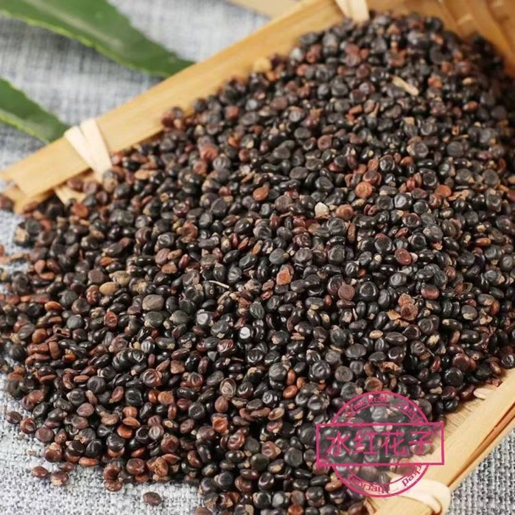 中药材白丁香 麻雀粪 家雀粪自然晒干精选含量高包邮批发各种药材
