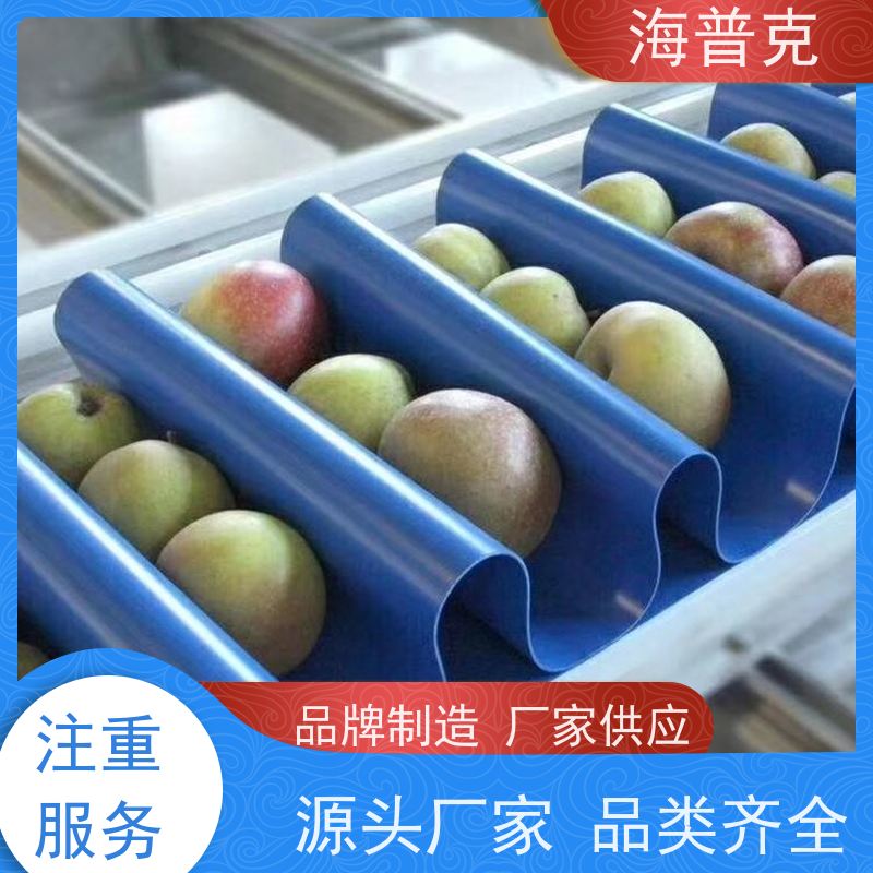 海普克 饼干糖果生产线 支持加工 小型食品粮食 PVC光面平面输送带