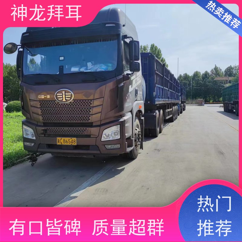 河北神龙拜耳 光伏支架碳钢 耐用 生产厂家