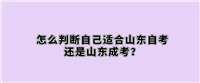 山东成考院校排名解析