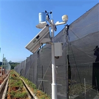 山区雨量在线监测系统 防汛预警 保护人民安全 QCTC雨量站