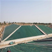 固土植草麻护坡山林边坡绿化植被毯厂家