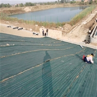 椰丝混合的秸秆草毯边坡防护绿化工程植被毯厂家