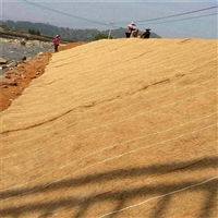 抗冲椰丝毯草籽毯河道椰丝绿化工程定制