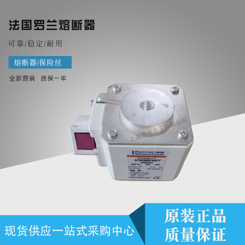DIVGG50V100法国罗兰ferraz原装快速熔断器保险丝 质量保障