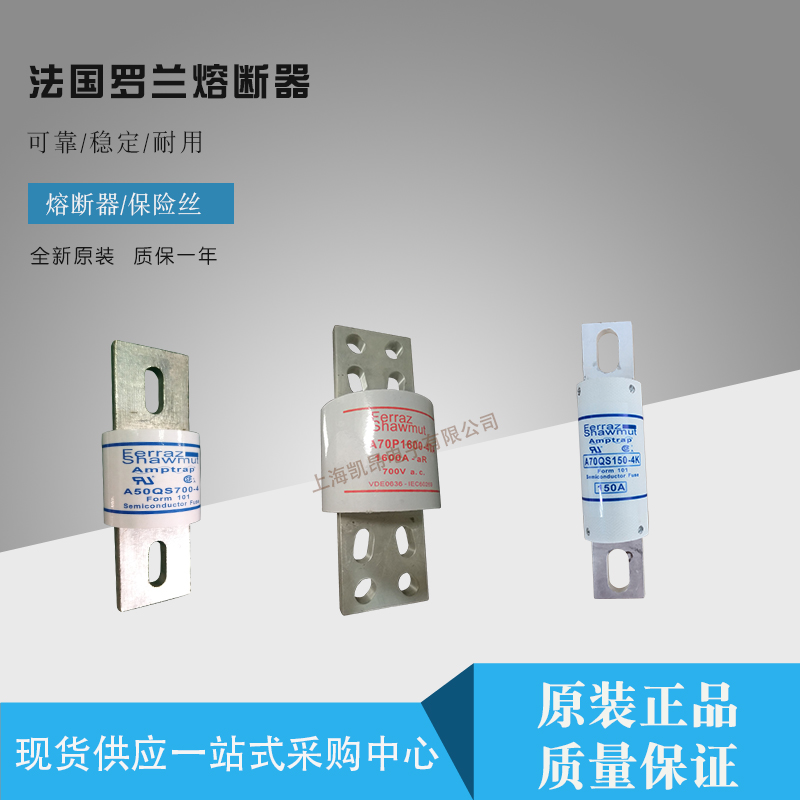 BS000UB69V160P法国罗兰ferraz原装现货全新快速熔断器保险丝