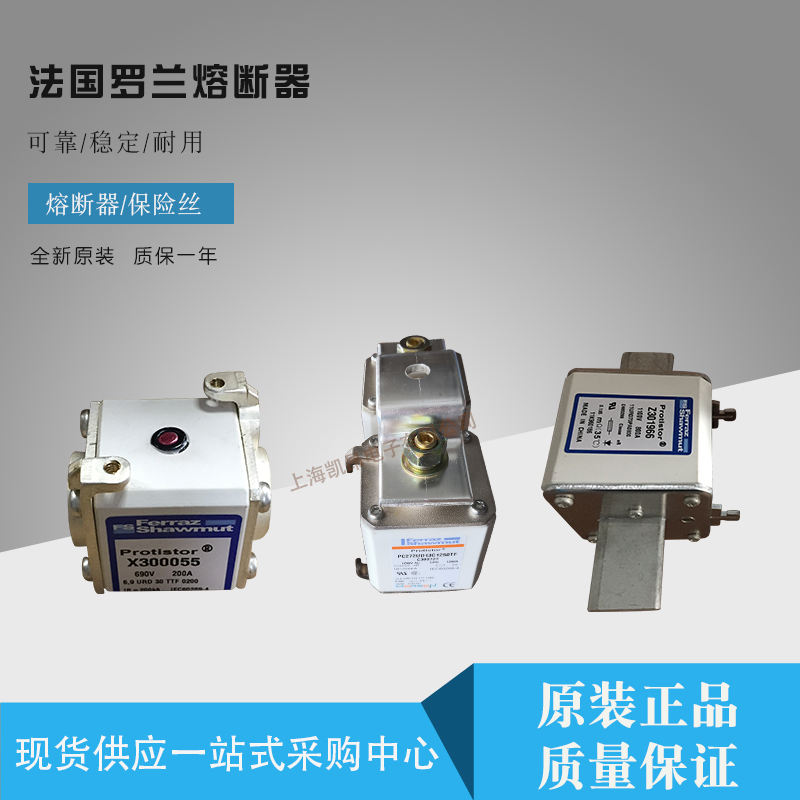 BS000UB69V110P法国罗兰ferraz原装全新现货快速熔断器保险丝