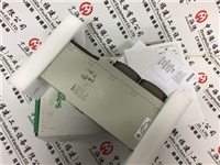 2025施耐德PLC模块推送:170ADI74050