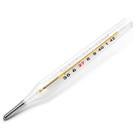 内标式玻璃体温计