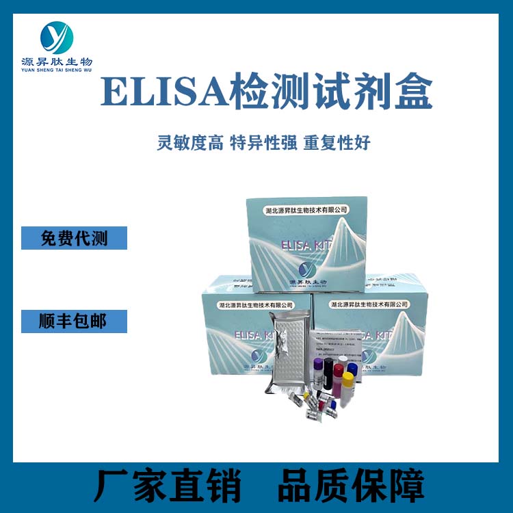 源昇肽生物小鼠磷酯酶Cγ1(PLCg1)ELISA试剂盒48T/96T科研专用
