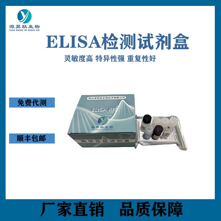 人X-连锁釉原蛋白(AMELX)elisa试剂盒特异性强