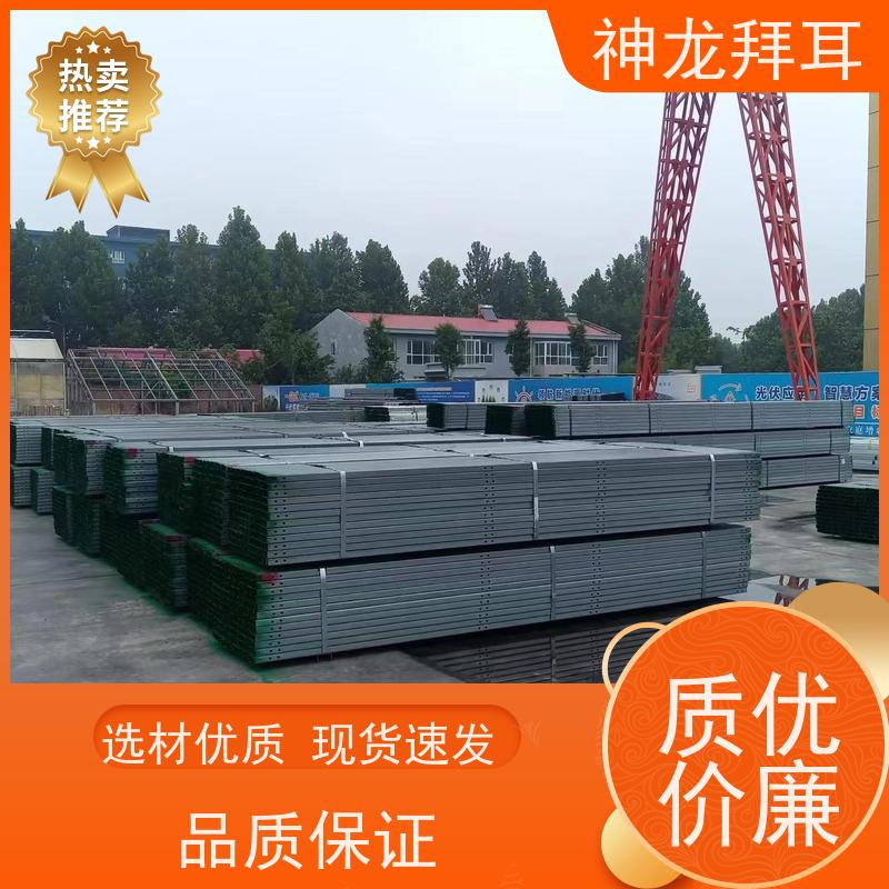 河北神龙拜耳 太阳能光伏支架成型机 耐用 品牌