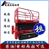 泰安肥城市蜘蛛机租赁