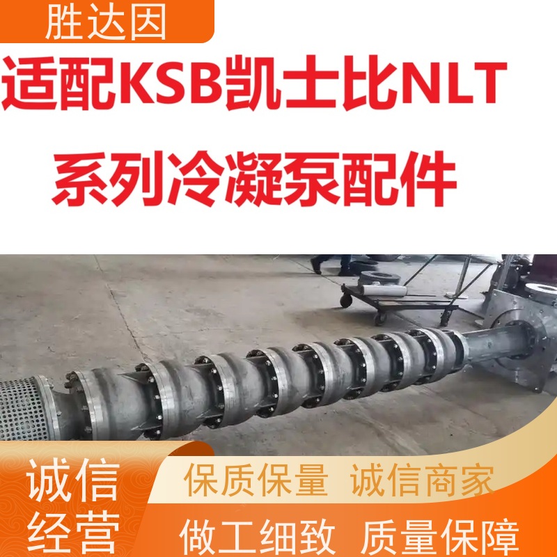 凯士比KSB中山市NLT250-370X5通气螺母 物流配送 发货快-24小时服务