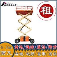 肥城市履带蜘蛛机租赁