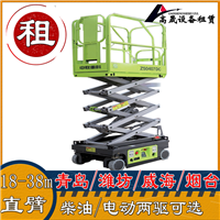 成武县蜘蛛吊机租赁