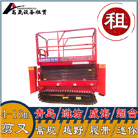 河东区履带蜘蛛吊租赁