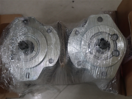 0510725077  AZPF-12-022RRR20KB 德国力士乐REXROTH齿轮泵