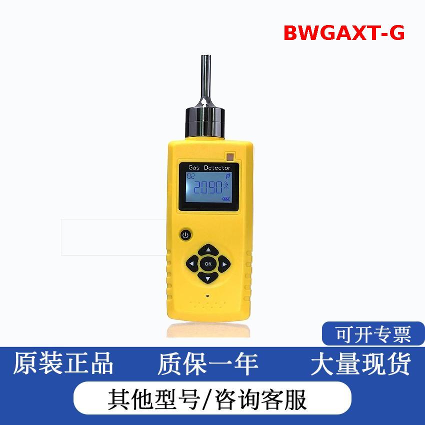 加拿大BW臭氧检测仪 垂直安装 化工行业专用BWGAXT-G