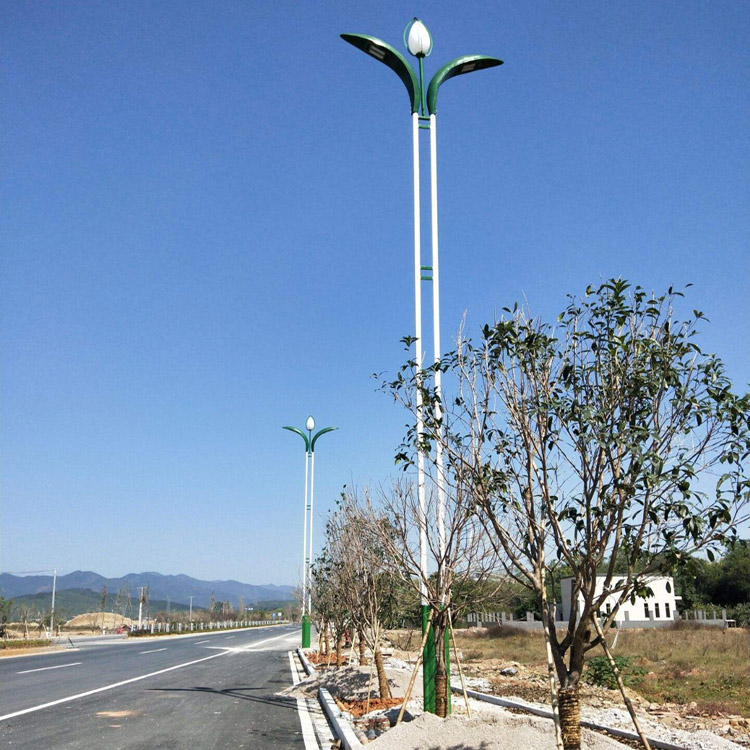 庭院灯款式独特 草坪灯厂家定制 太阳能路灯 农村建设照明灯