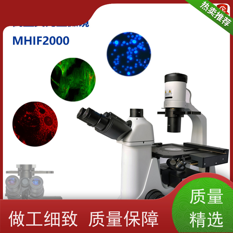 明慧 适合活体细胞、组织观察 广州 荧光倒置生物显微镜