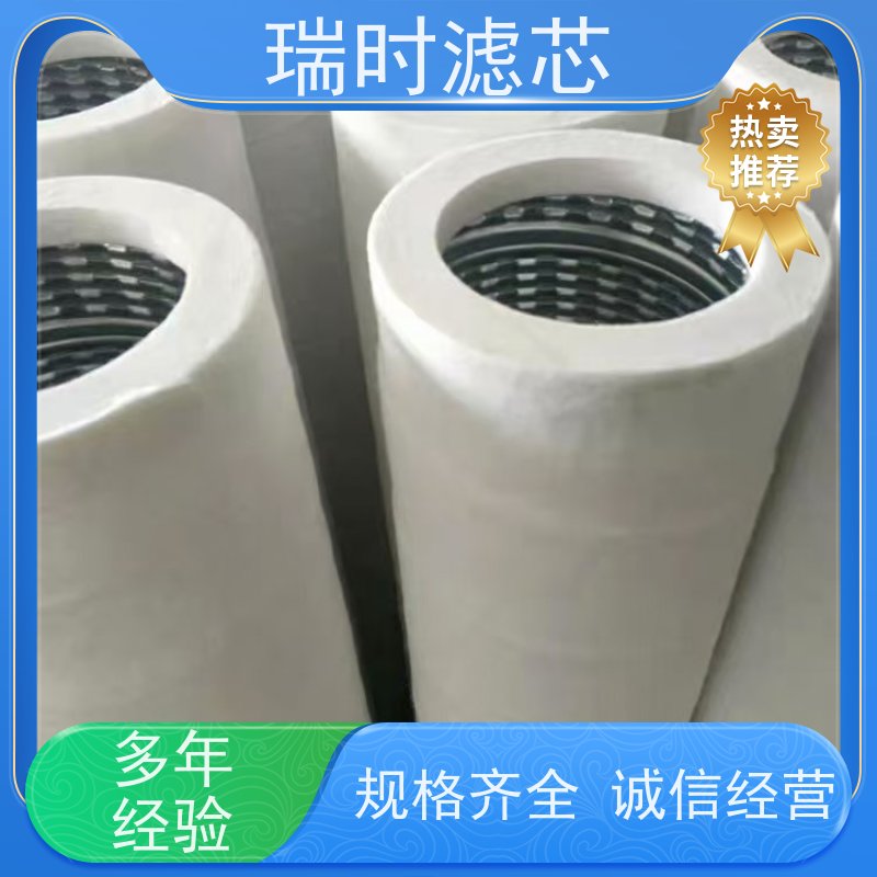 环保天然气滤芯/燃气精滤器 瑞时可回收材料 绿色能源站标配