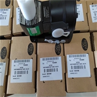 ASCO   电磁阀EF8551A001MS，24VDC特点 